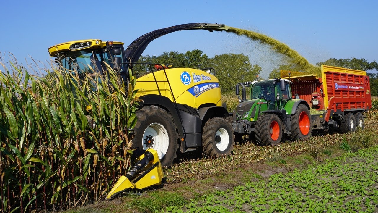 Mais 2024 | New Holland FR700 | 4x Fendt | Maas Markelo | Maishakselen | Mais silage |  Maishäckseln