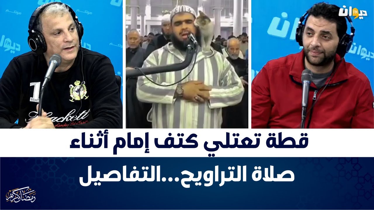 قطة تعتلي كتف إمام أثناء صلاة التراويح...التفاصيل