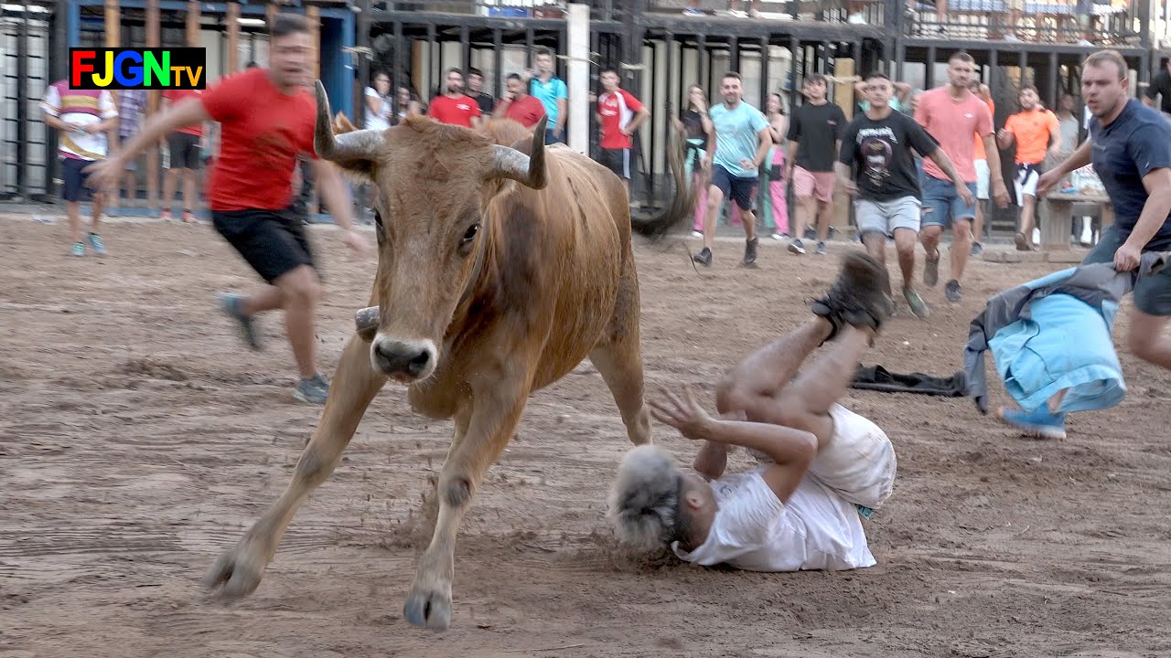 Vaquillas Jos&eacute; Luis Cuartero - Nules (Castell&oacute;n) 11-10-2023 Bous Al Carrer [Toros FJGNtv]