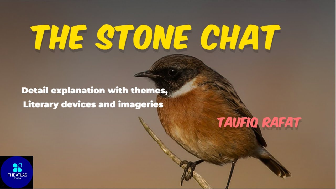 The Stone Chat by Taufiq Rafat | Taufiq Rafat | Stone chat | Detail Explanation | The Atlas of Ideas