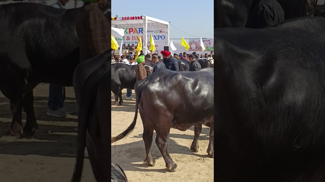 Kishan Mela Shri Ganganagar 2026