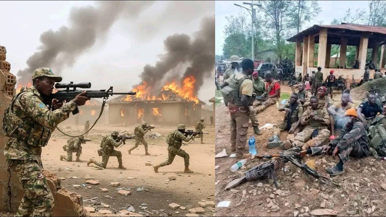 VIOLENT COMBAT AU NORD-KIVU PLUSIEURS REBELLES M23/AFC TUÉ PAR LE FARDC LES ARMES MARQUE FRANCE REÇU
