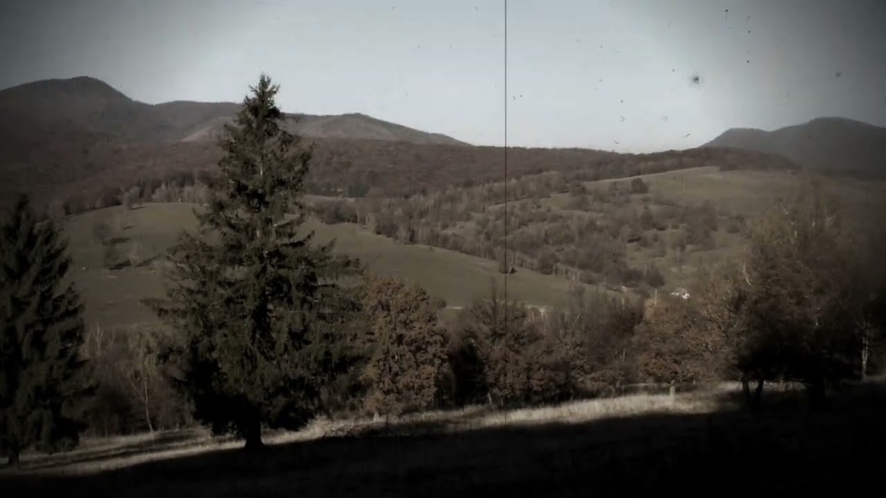 Danica Obrenic   Oh, da mi se lastom stvoriti!