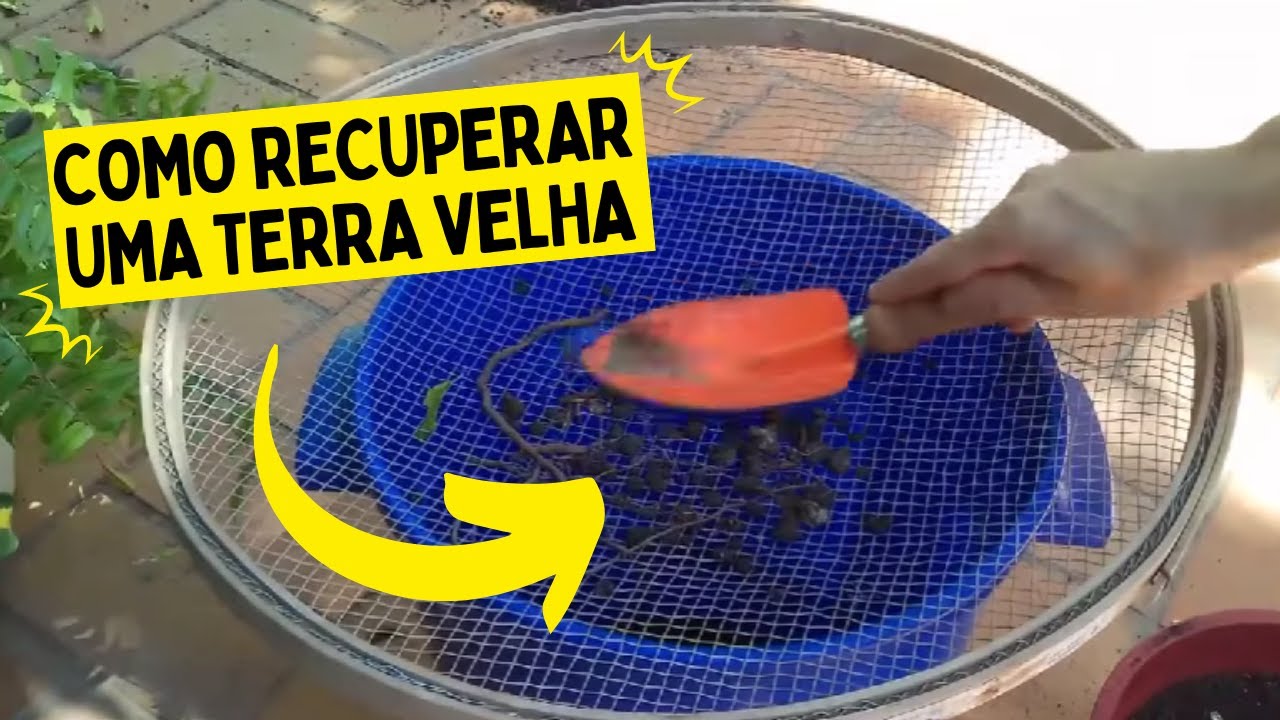 DICAS DE COMO RECUPERAR A TERRA VELHA DE UM VASO