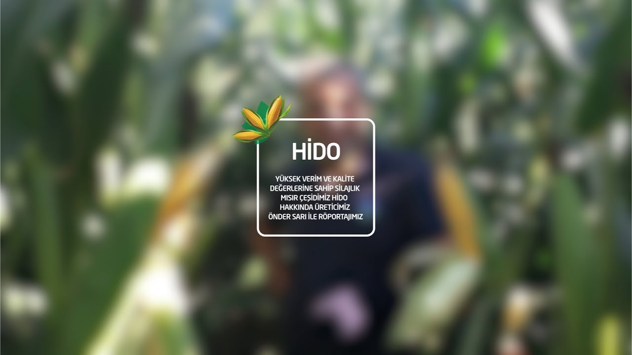 Hido/ Yüksek Verim ve Kalite Değerlerine Sahip 