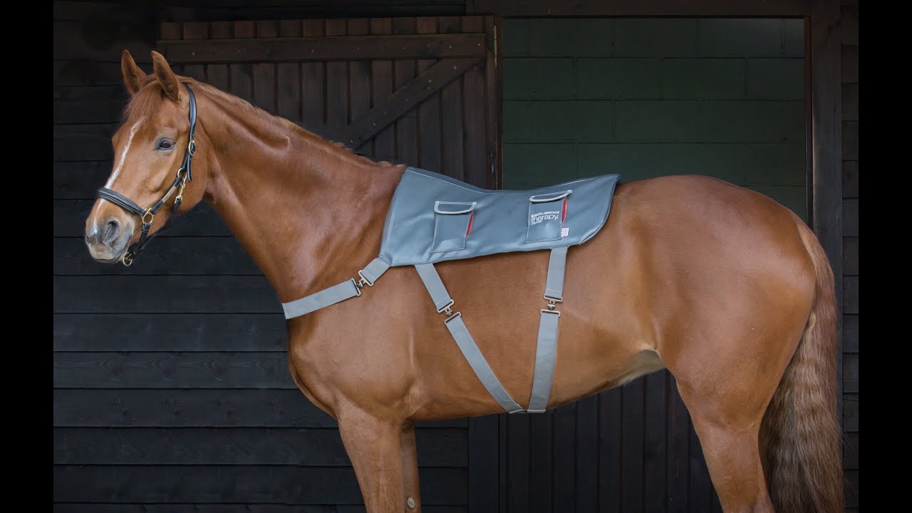Equilibrium Massage Pad