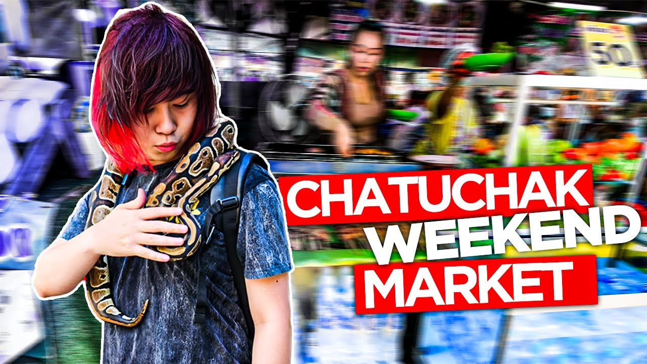 Shop, Snack, SNAKES ?! Chatuchak: Bangkok's LARGEST Weekend Market!