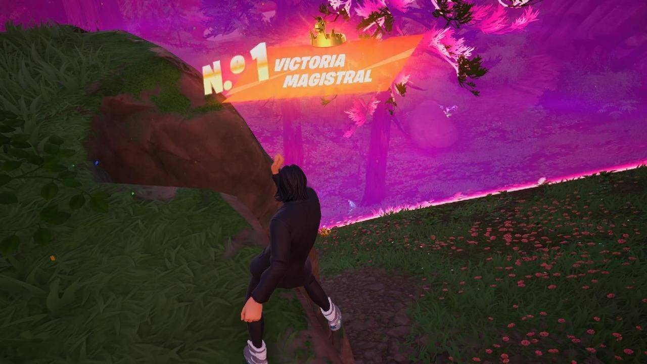 Fortnite Victoria épica 🤫