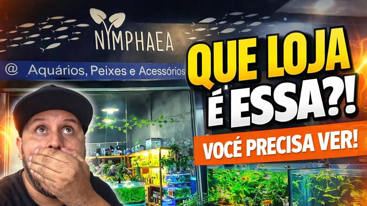 EU NÃO ESPERAVA POR ISSO! 😲Fiquei impressionado com essa loja de aquários!🥰🍃🐟