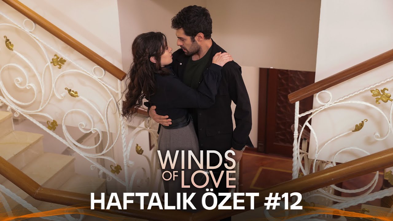 Winds of Love Weekly Summary #12 | Rüzgarlı Tepe Haftalık Kolaj #12