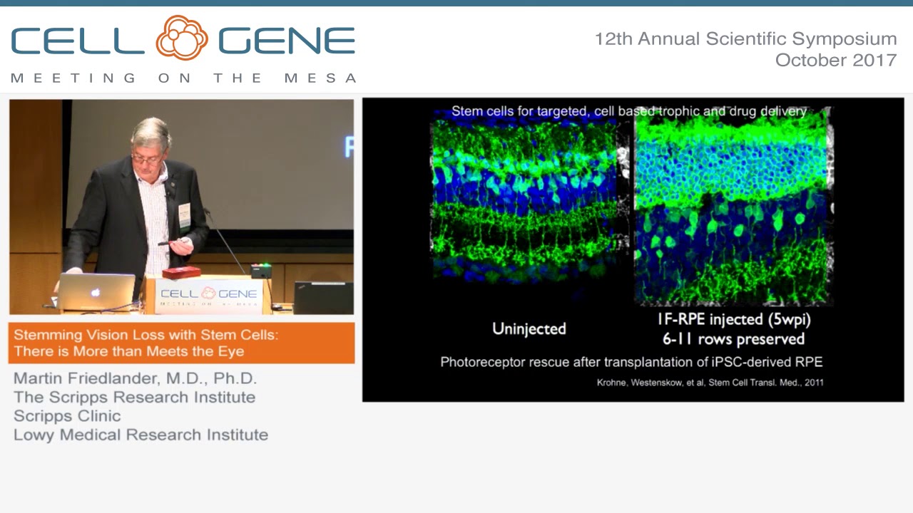 Stemming Vision Loss with Stem Cells - Martin Friedlander, TSRI