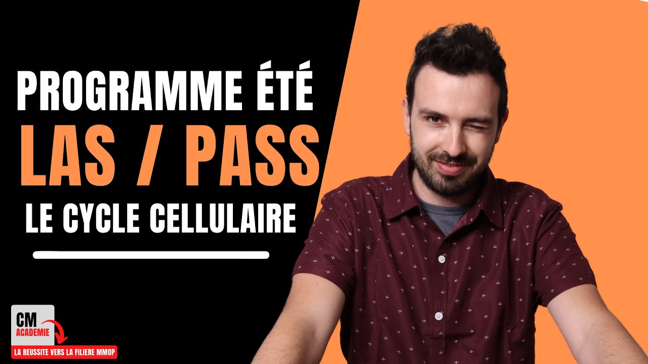 TERMINALE SANTE : Le cycle cellulaire (prophase, métaphase, anaphase, télophase, interphase...)