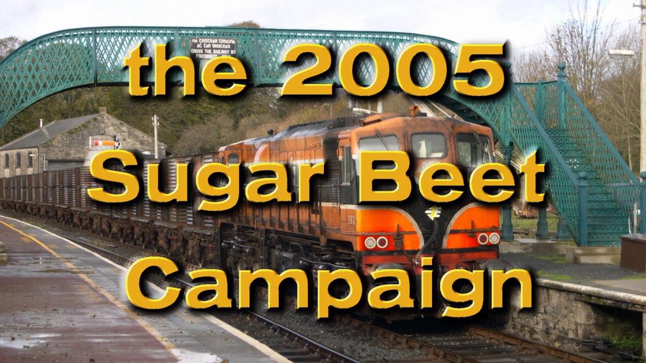 Ireland Beet 2005 Remastered