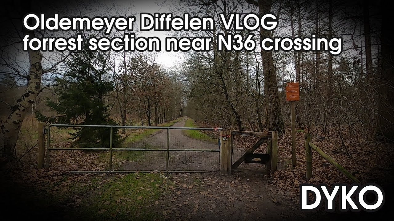 Oldemeyer Forrest walk VLOG near the N36 crossing