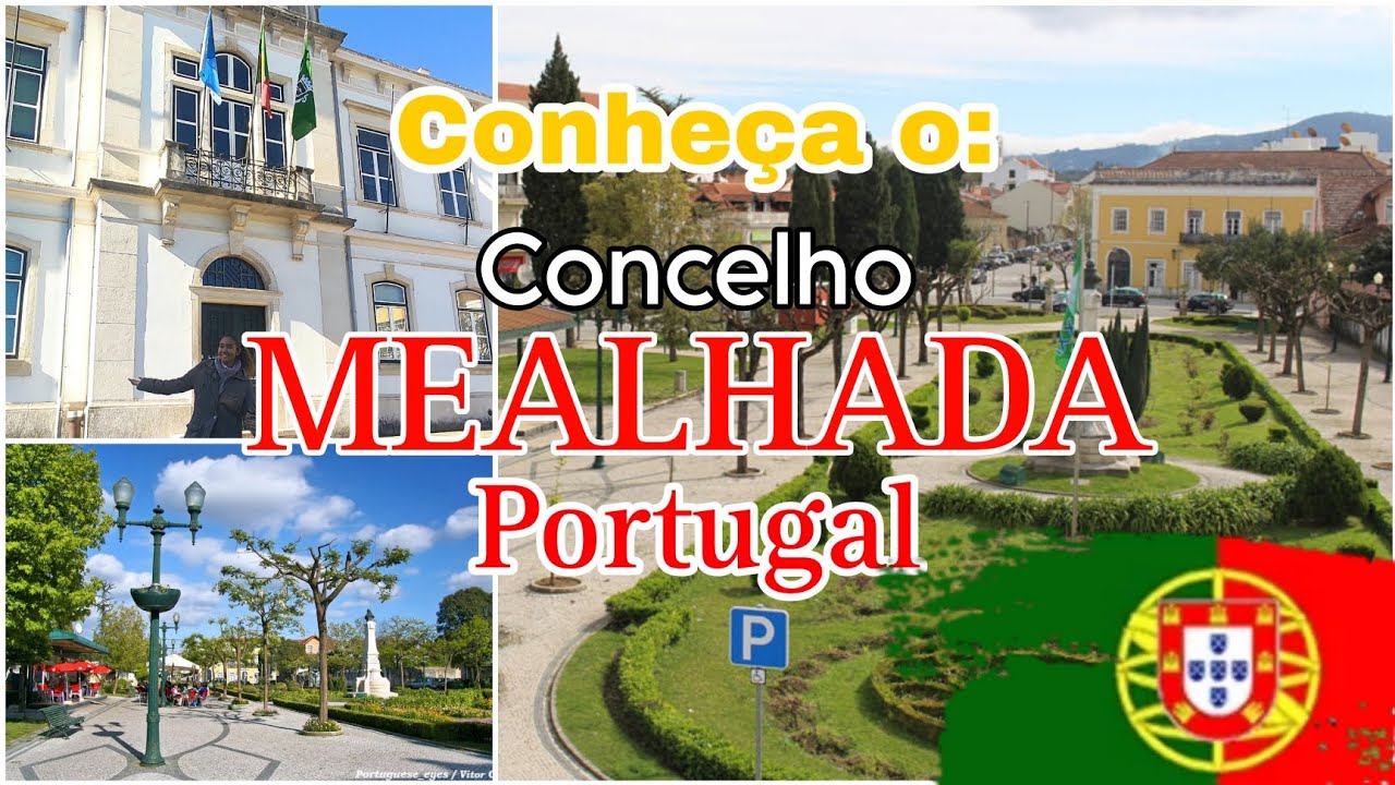 💥CONHEÇA: TUDO SOBRE o CONSELHO de MEALHADA em PORTUGAL!🇵🇹🇵🇹