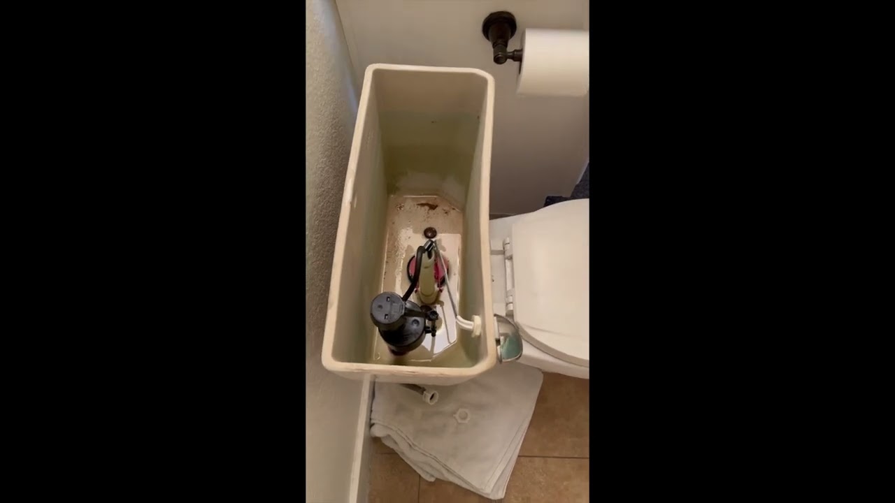 Replace Toilet Fill Valve, Flapper, and Water Supply Line