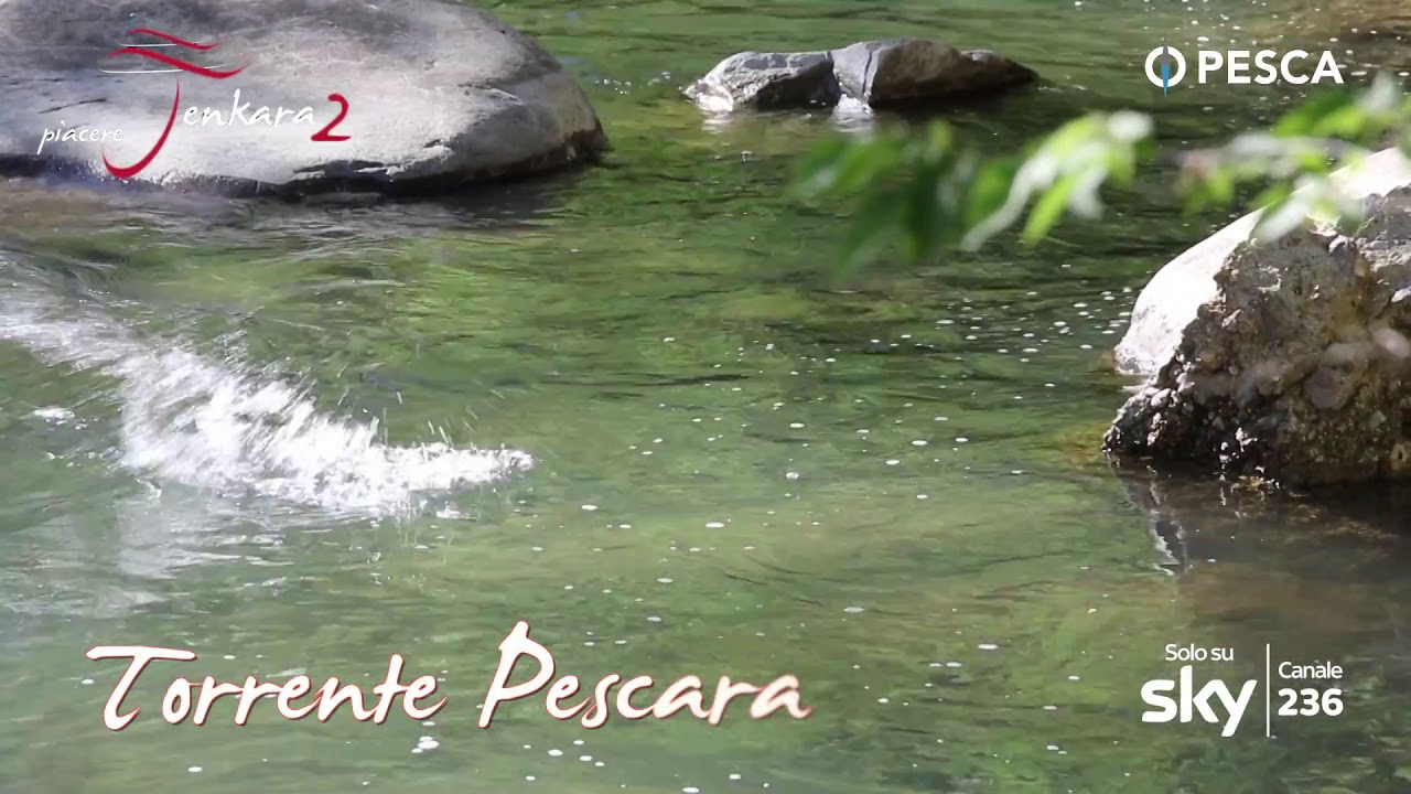 Piacere Tenkara 2