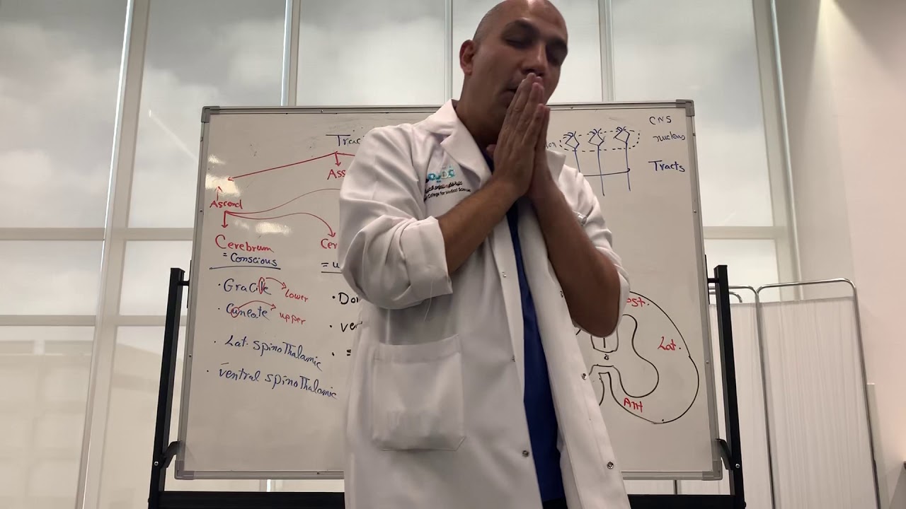 Ascending tracts (Neuroanatomy 7)