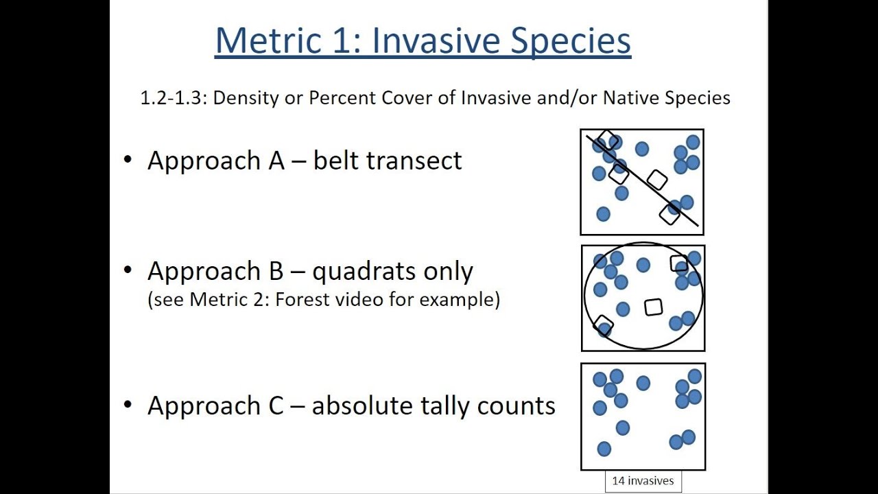 Invasive Species Monitoring