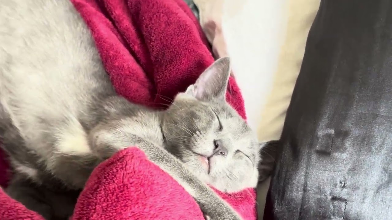 nhau