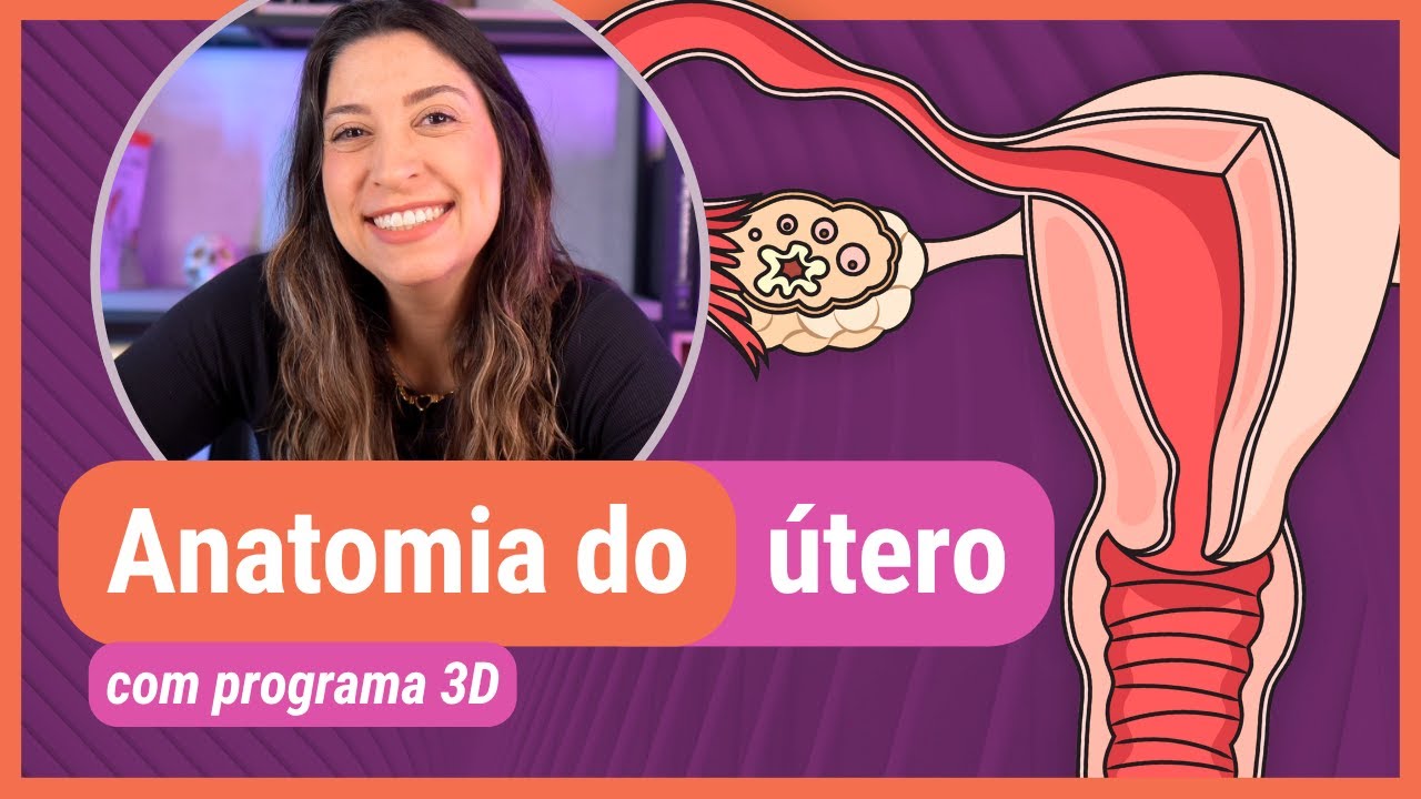 ANATOMIA DO ÚTERO! Com programa 3D