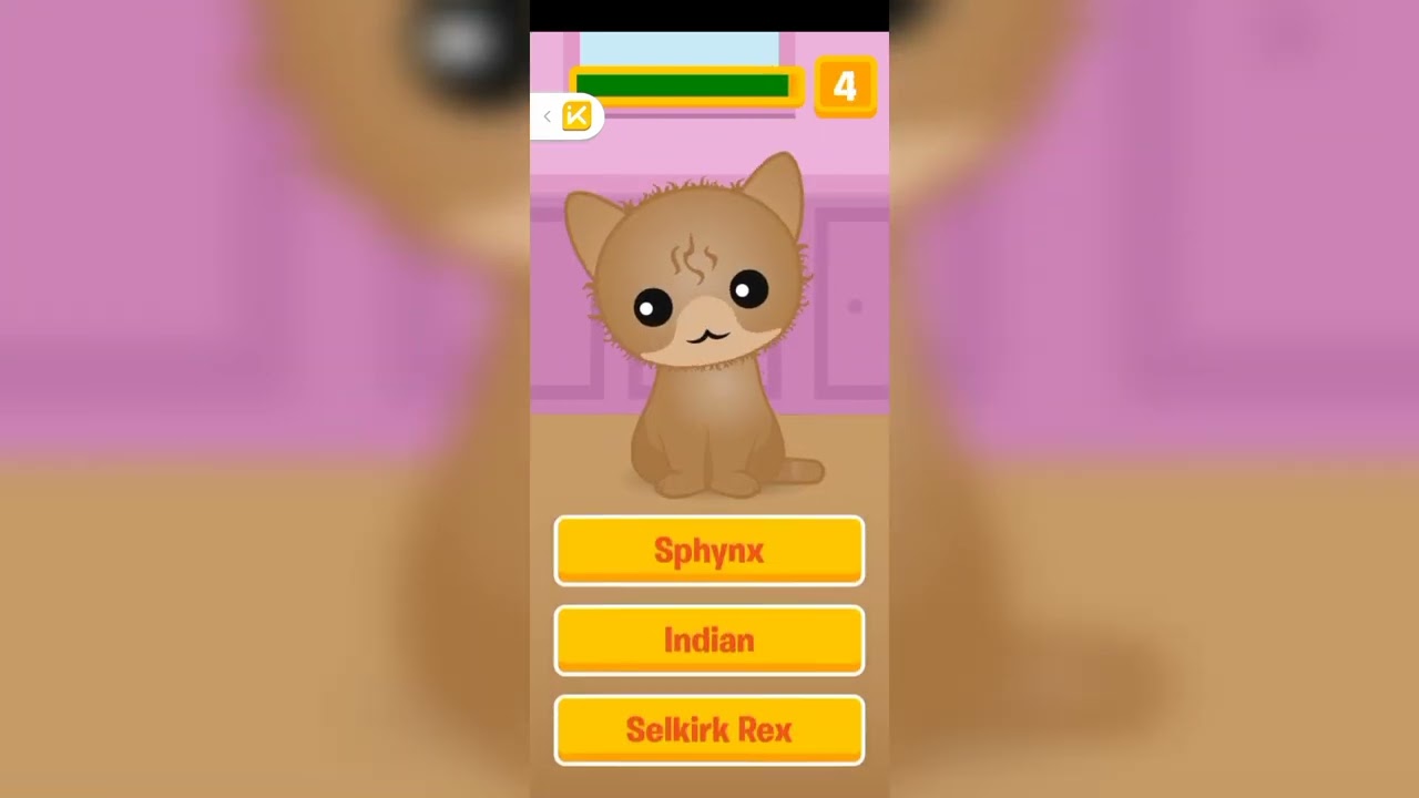 GUESS THE KITTY IS NOT FOR KIDS! @Milina_mouse174 @Sana_d3vil588 @Dizzipix._.official @Saada_Nika 