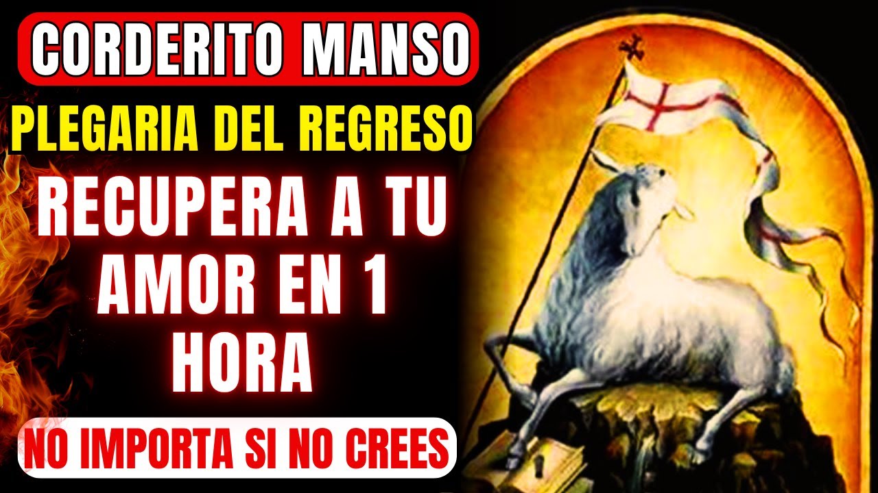 💖ORACIÓN AL CORDERITO MANSO PARA DOMINAR SUS SENTIDOS Y QUE TE AME SOLO A TI🔥