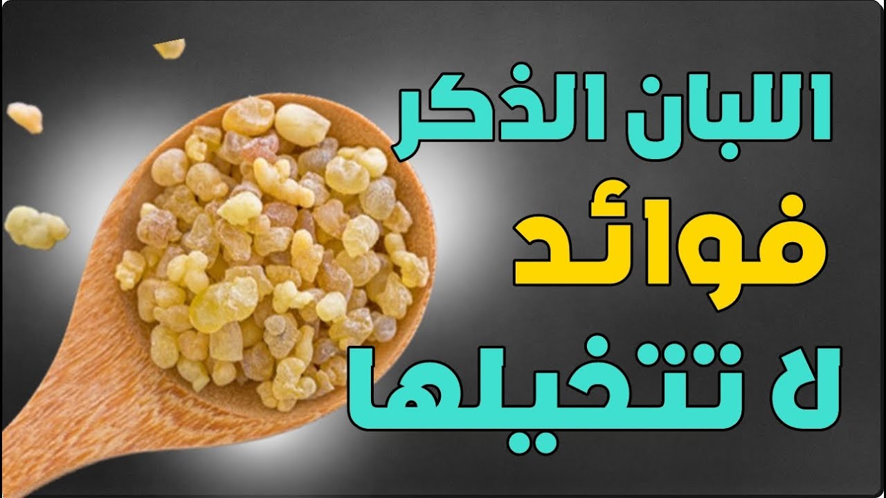 فوائد اللبان الذكر -  هذا ما سيجري في جسمك عند تناول اللبان الذكر فوائد لا تتخيلها