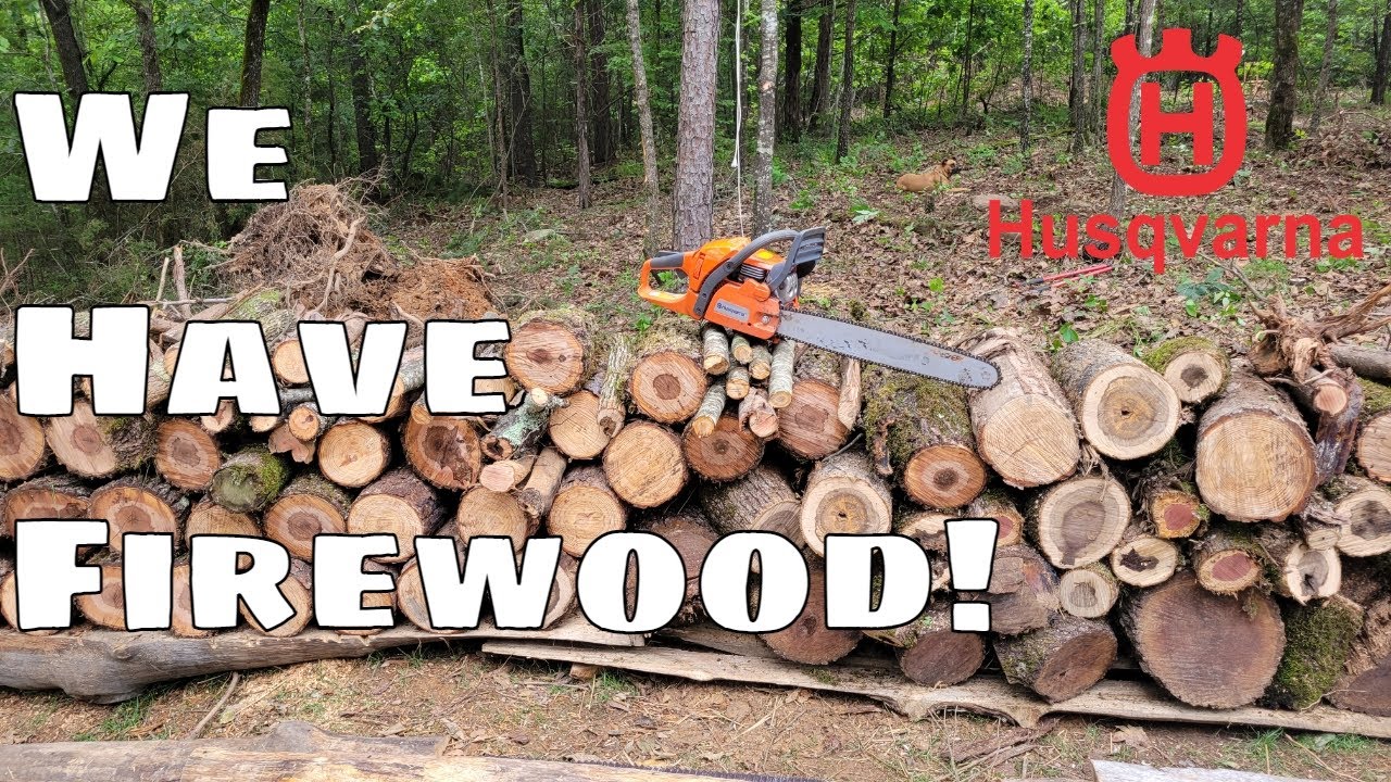 We finally have some firewood! (still need a lot more)