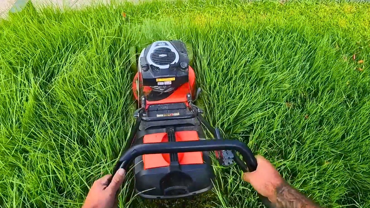Cutting EXTREMELY Overgrown Grass | Oddly Satisfying