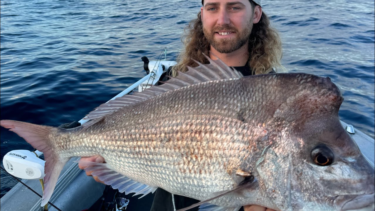 Cape Moreton snapper bag out sessions