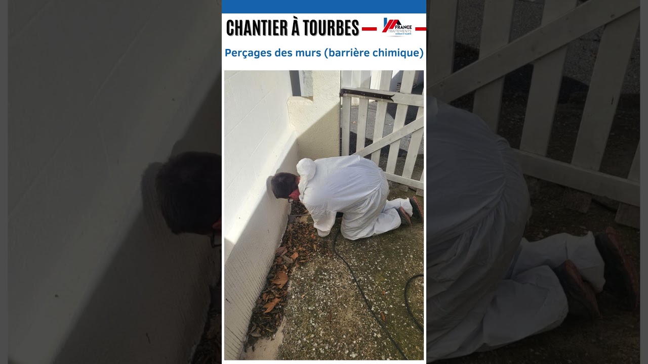 🚨 ALERTE AUX TERMITES &Agrave; TOURBES ! Intervention Rapide et Efficace 🛠️🏠