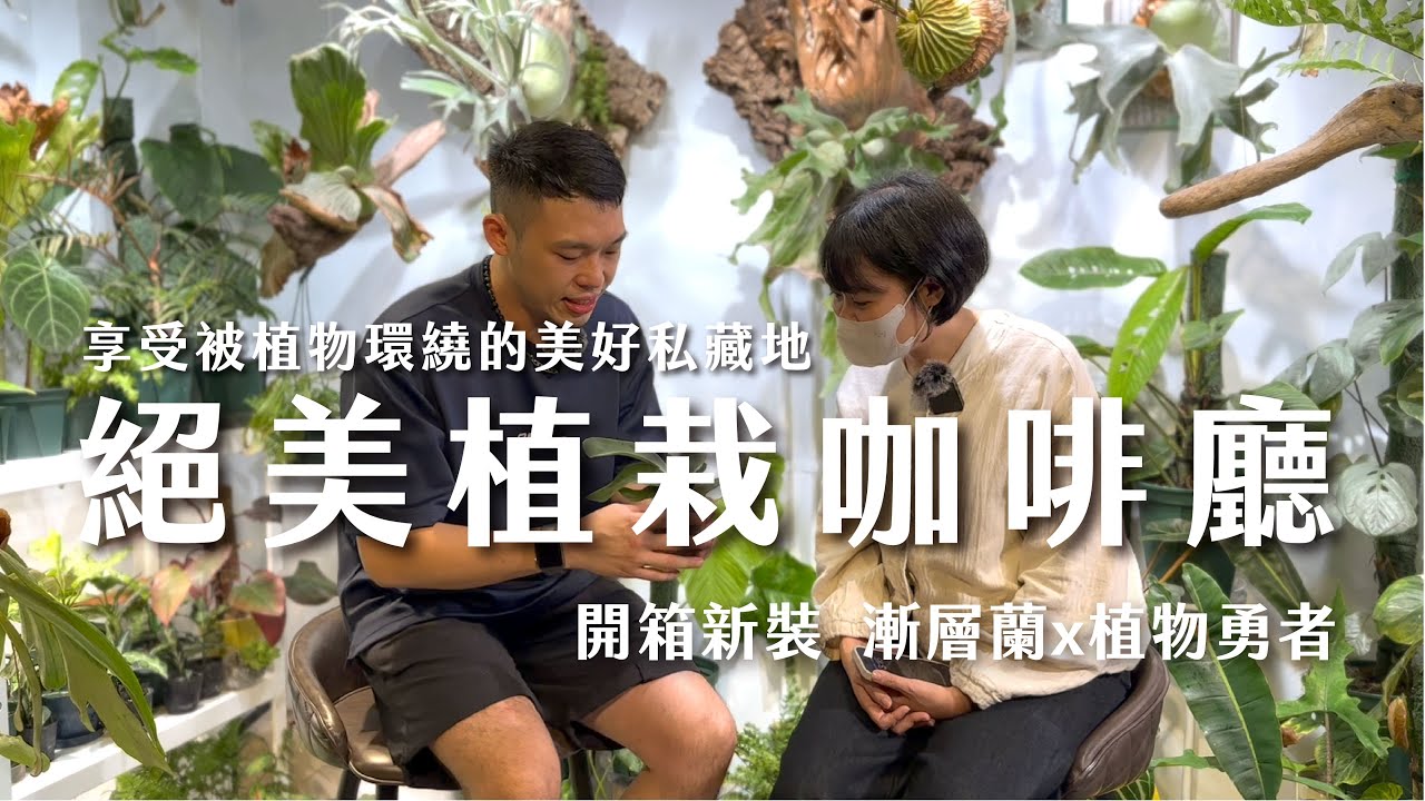 漸層蘭植物咖啡廳改裝開箱，植物勇者推薦新手最好種的鹿角蕨？！台北複合式植物咖啡店｜鹿角蕨｜蔓綠絨｜龜背芋｜火鶴｜觀音蓮｜觀葉植物