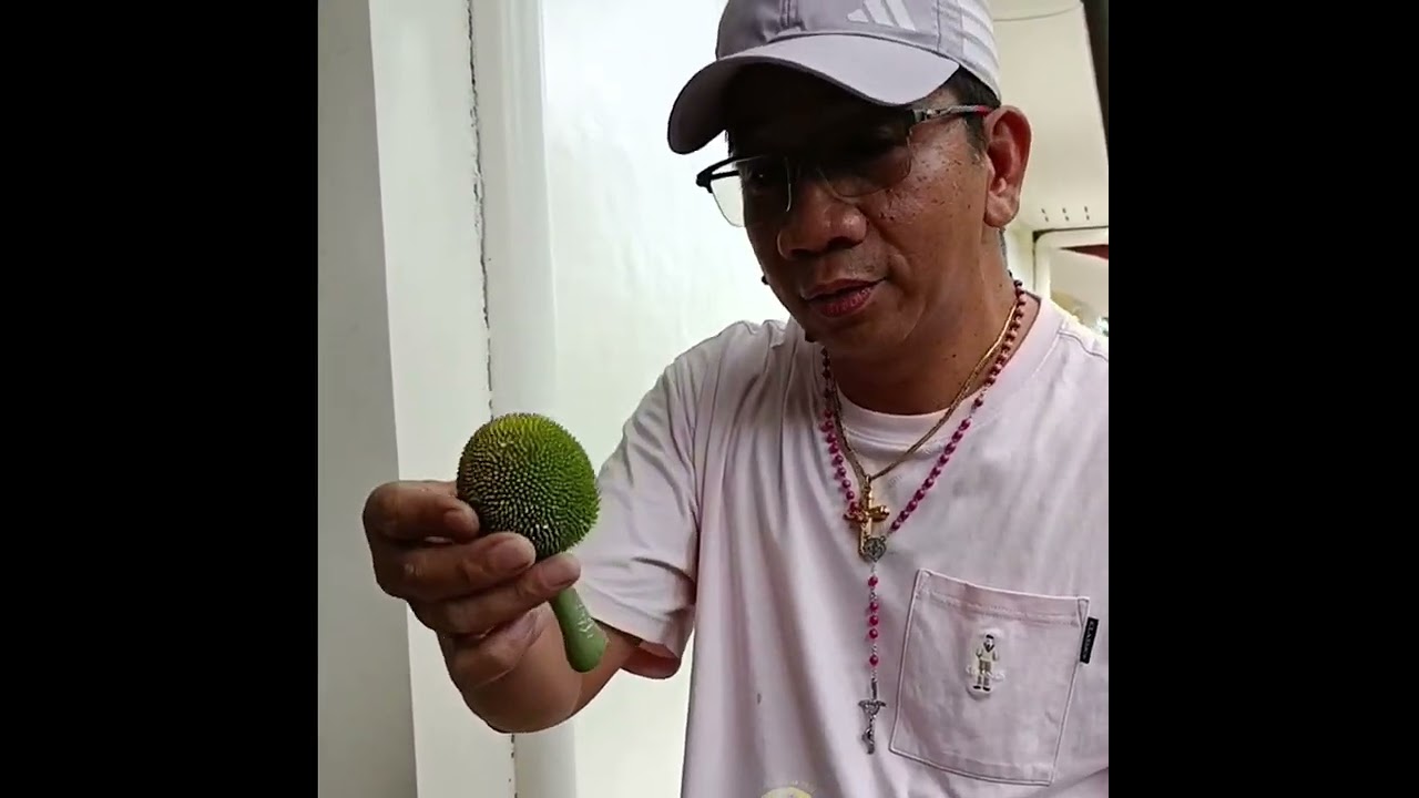 ANG PABORITO KONG GULAY // DADDY FRANKIE