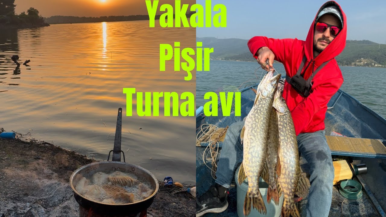 Bursa Turna avı - Yakala pişir turna avı - 3 Ali bir araya geldi #fishing #balıkavı #olta #turnaavı