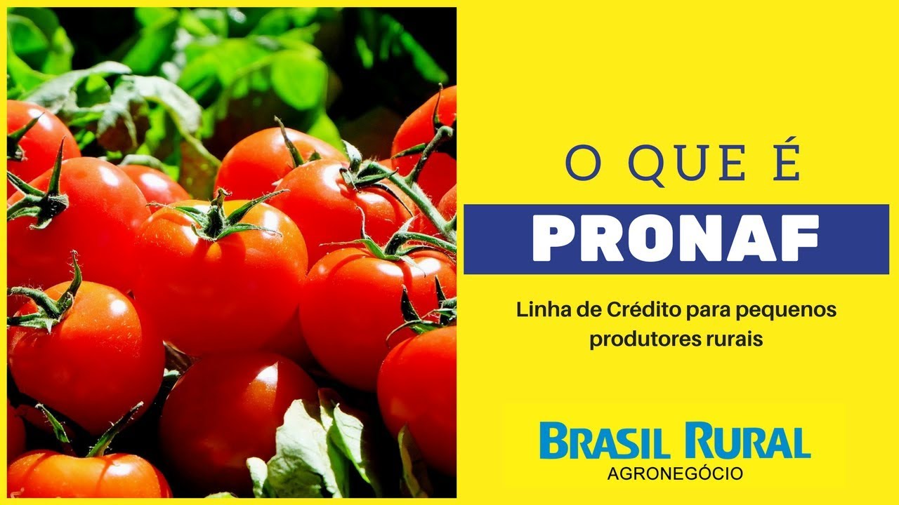 Explica&ccedil;&atilde;o do PRONAF - 1
