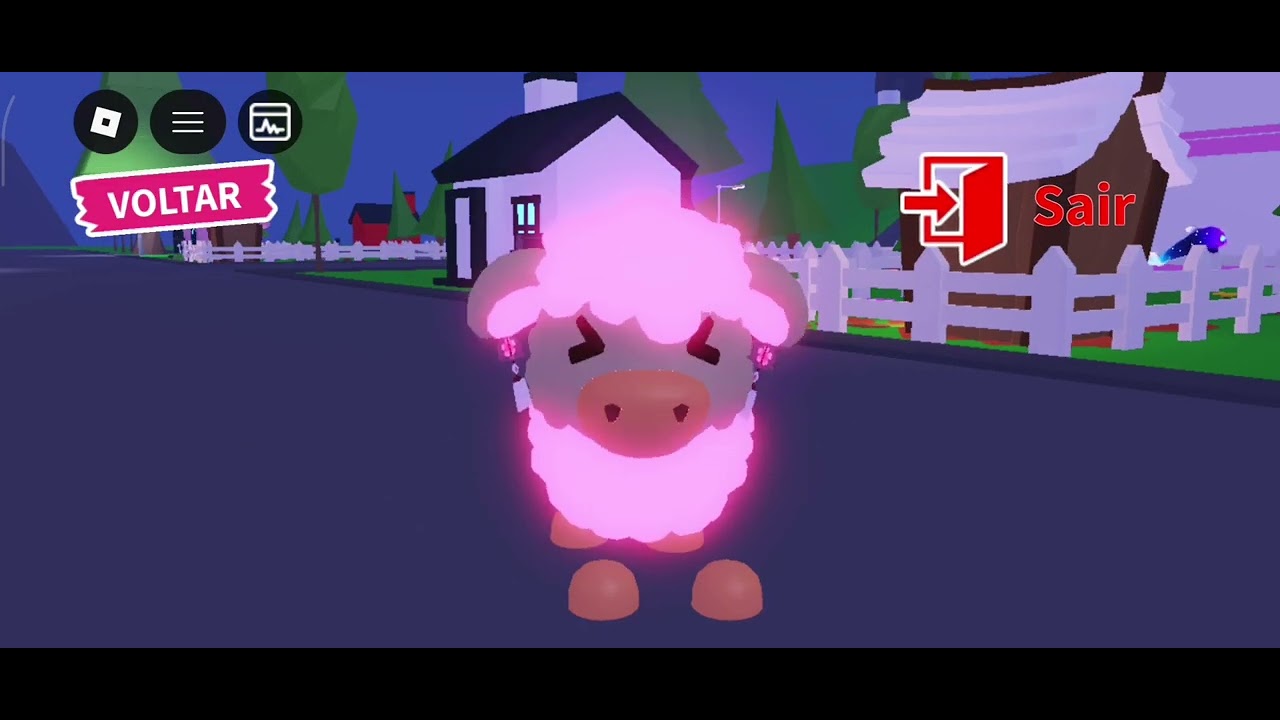 Meu primeiro vídeo 