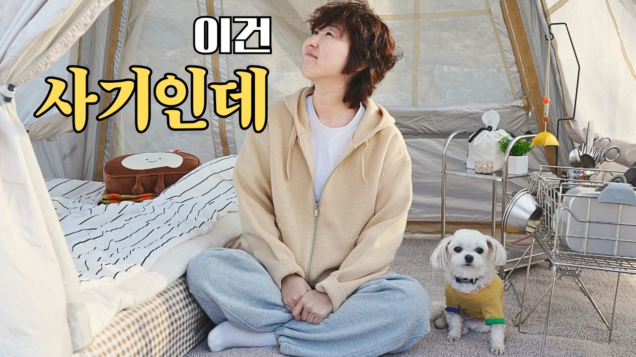 가성비 차박텐트 다음은 이거..왜 이렇게 좋지? 에어텐트 2탄/강아지와캠핑/차박/라면