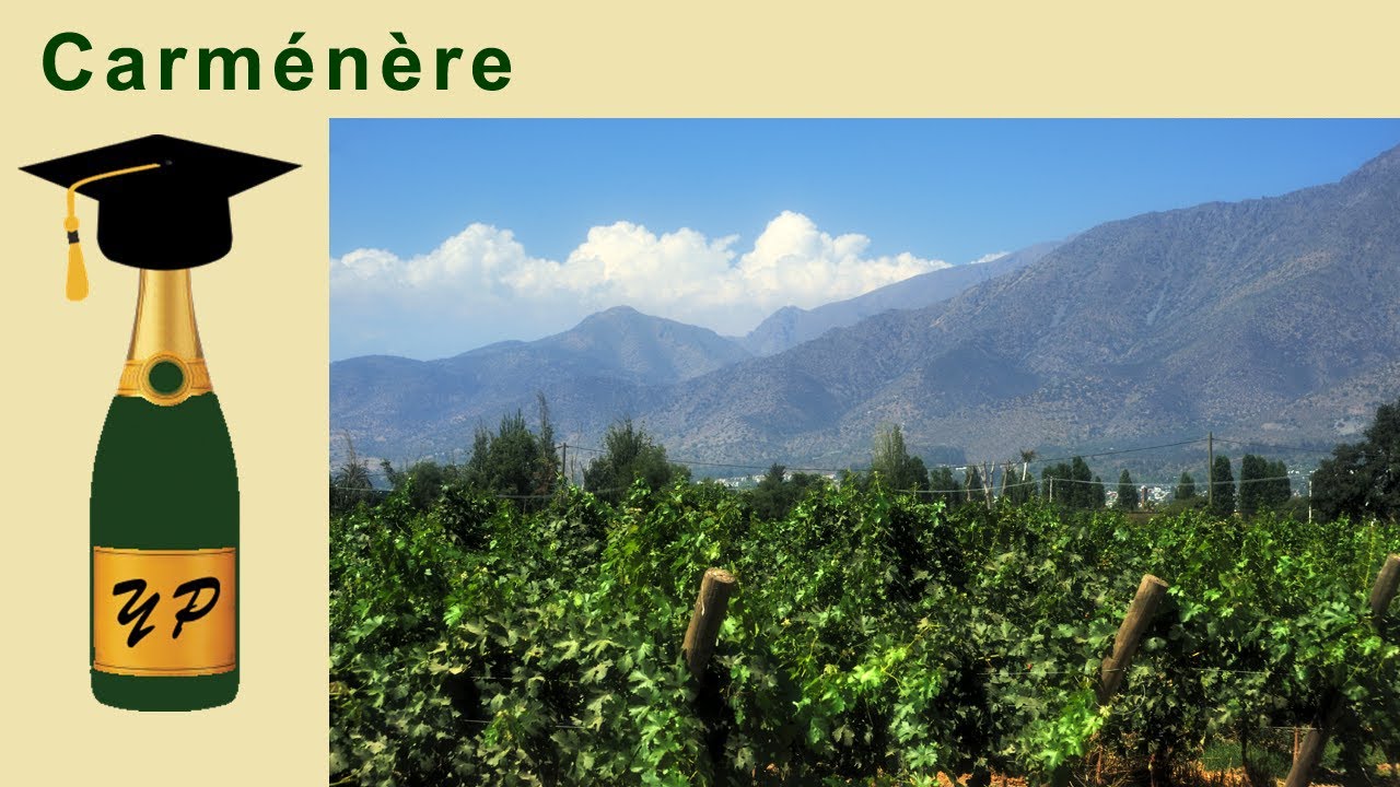 Carm&eacute;n&egrave;re