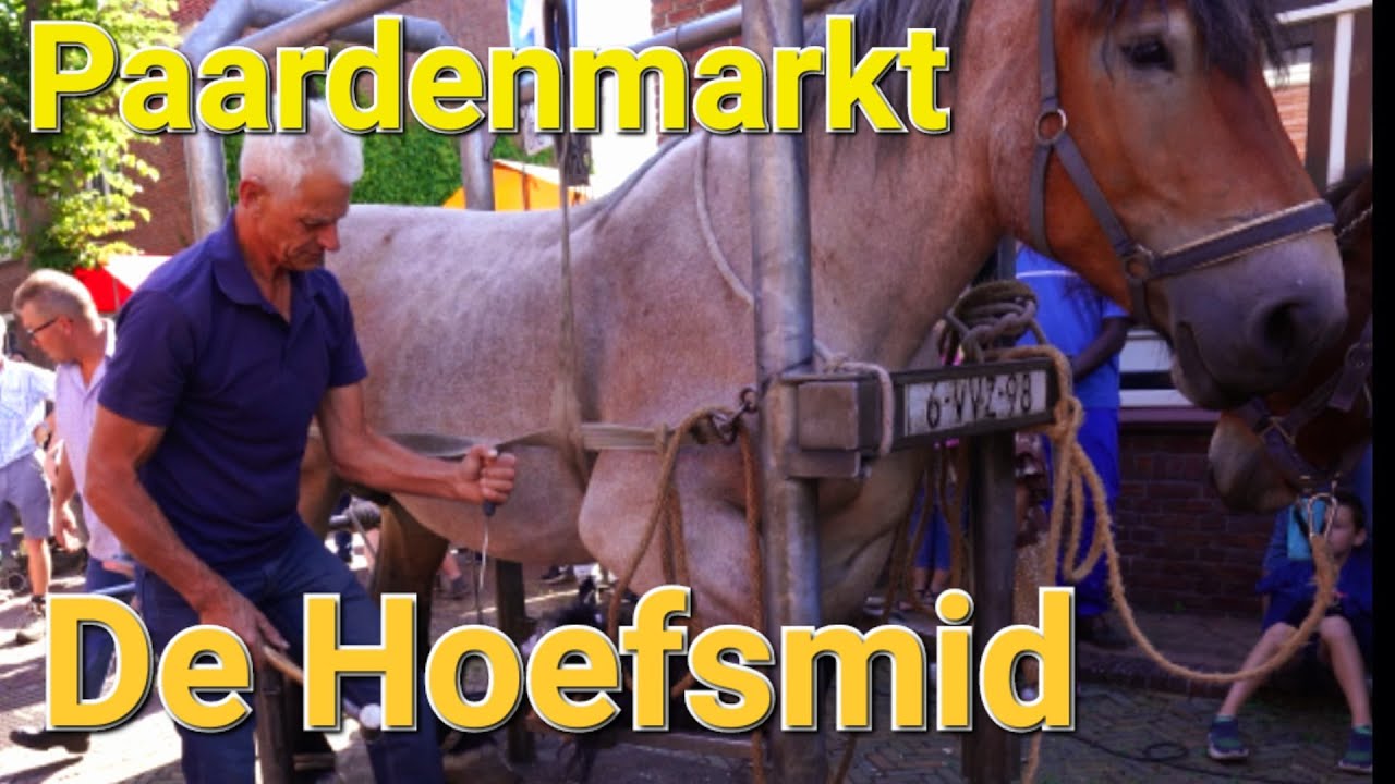 Paardenmarkt Voorschoten De Hoefsmid paard beslaan hoefijzer