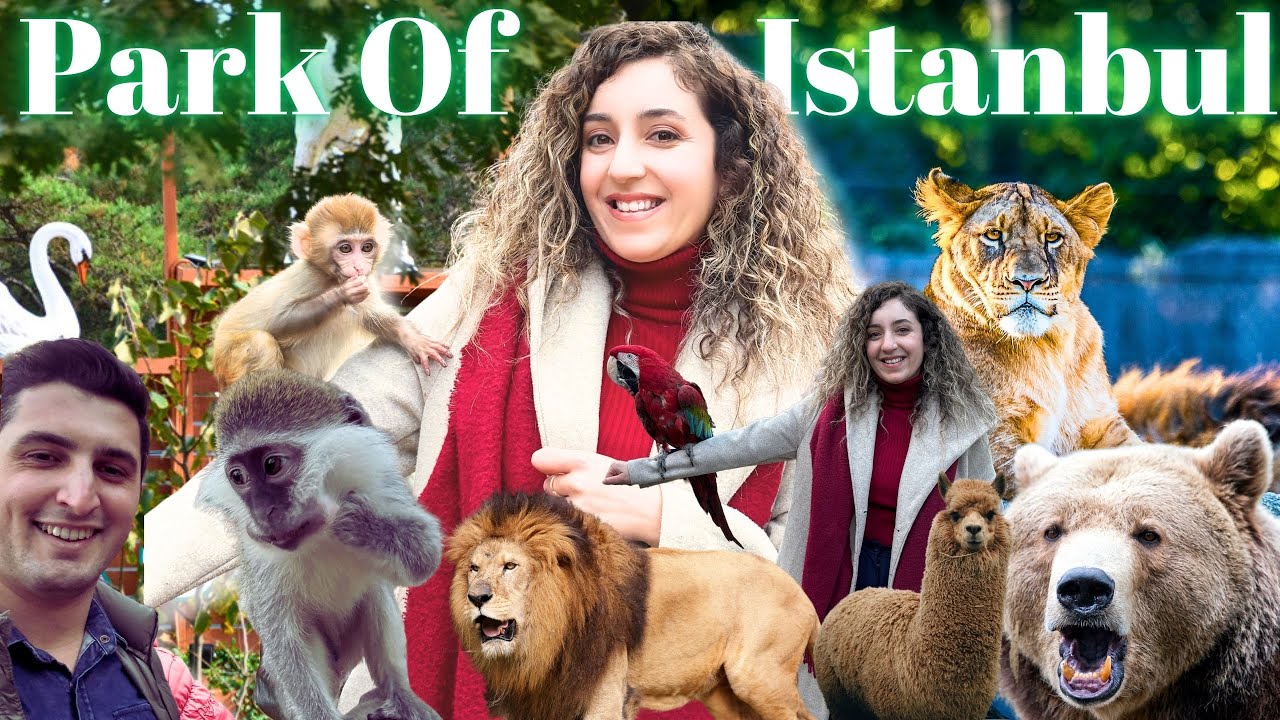 Park of İstanbul'da Unutulmaz Bir Macera 🐾