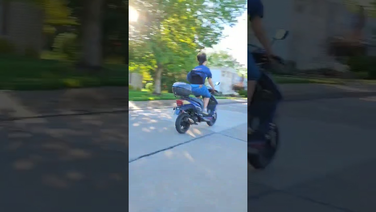 Moped Madness #moped #scooter #trump
