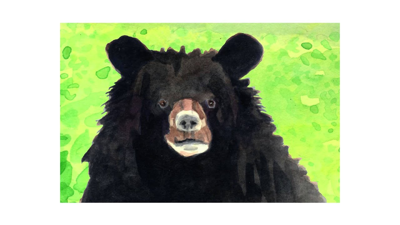 Bear Song