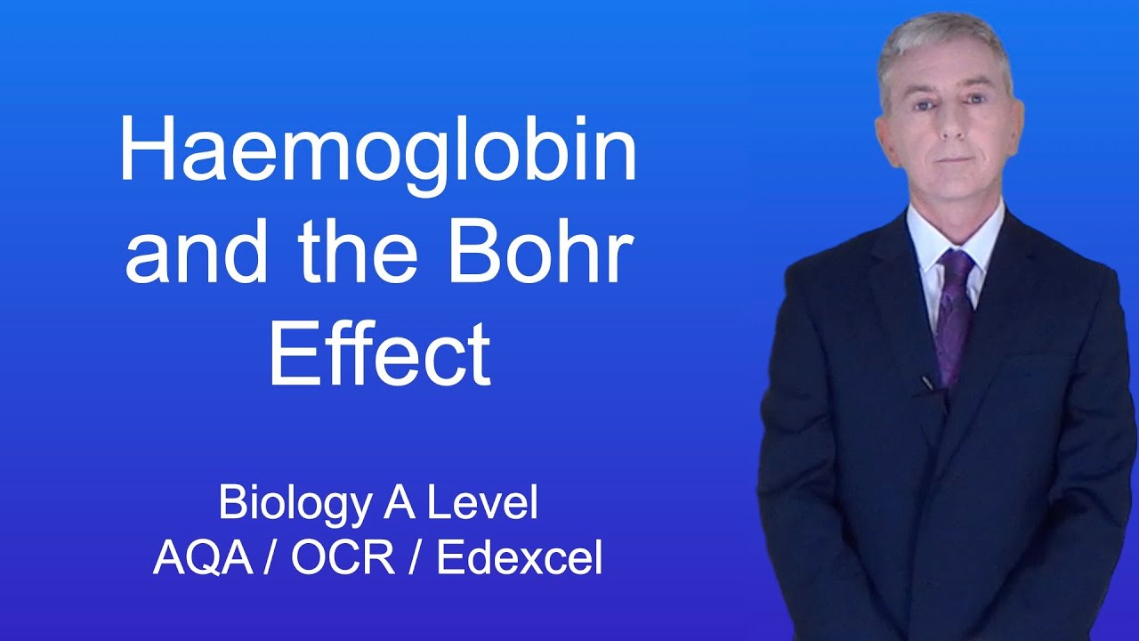 A Level Biology Revision 