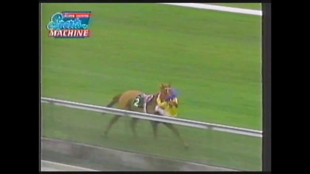 Jockey Colin Browell clings on at Flemington