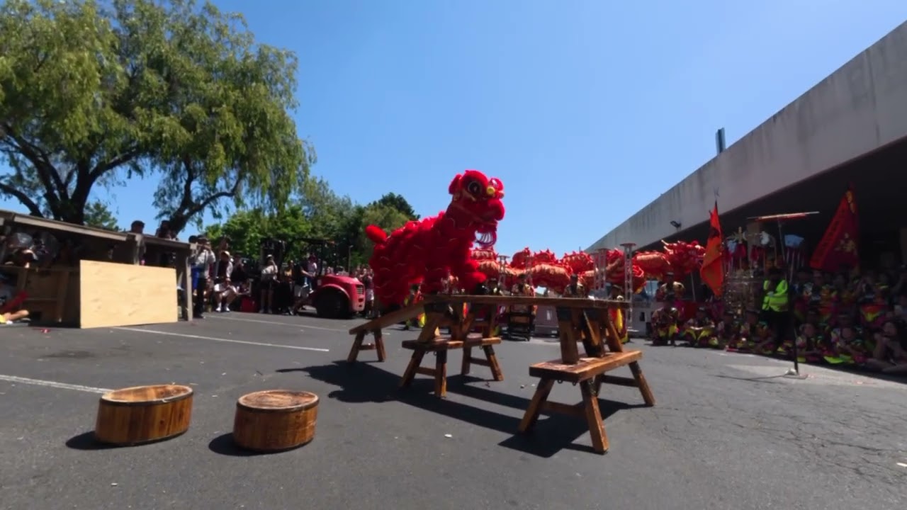 Melbourne Hung Hing Lion Dance Association | Springvale festival 2026 | Juniors U13