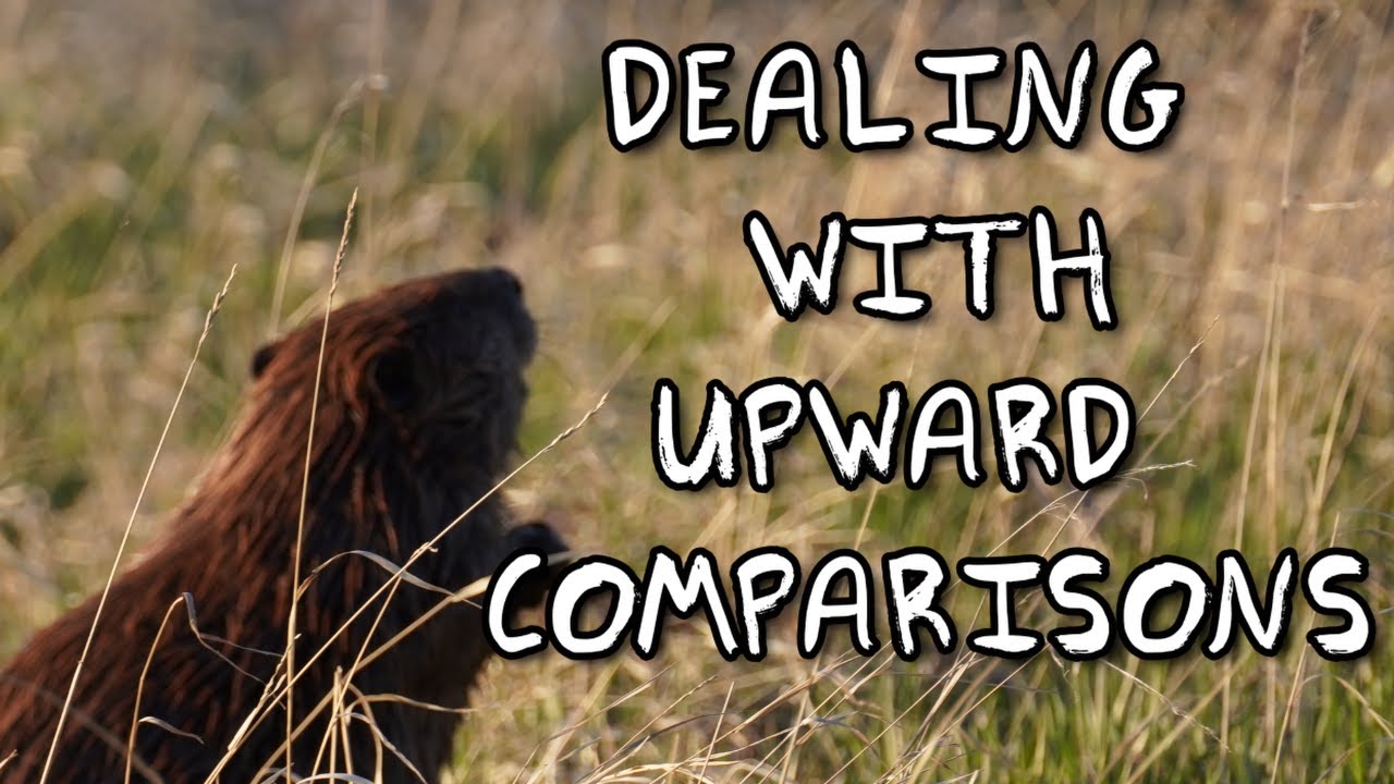How I try to prevent comparisons from bringing out the worst in me.