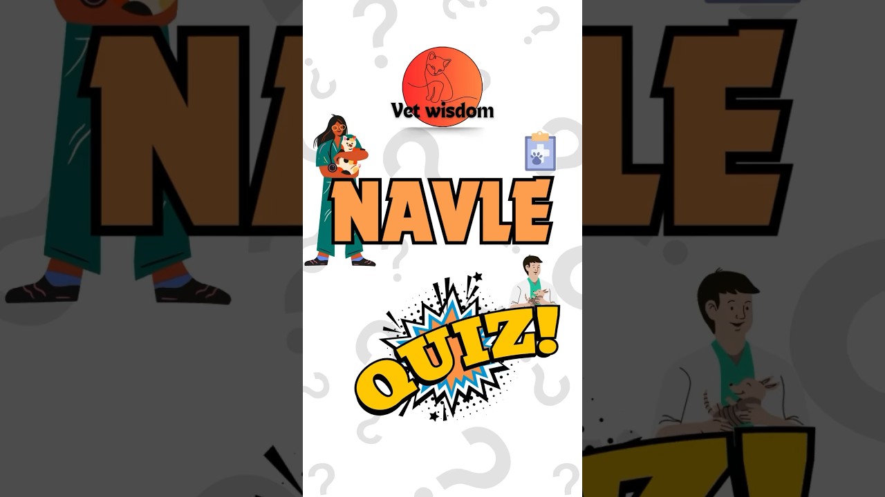 🩺 NAVLE Quiz Time! | Test Your Veterinary Knowledge in 60 Seconds! 🐾 #NAVLE #veteducation #USAvet