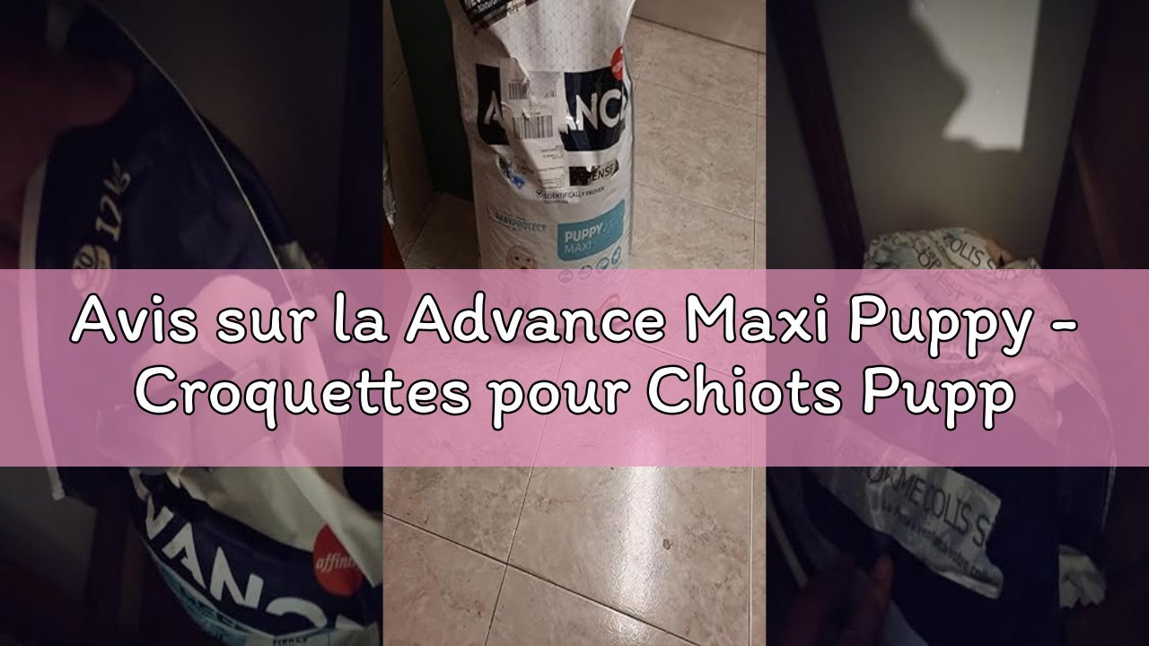 Avis sur la Advance Maxi Puppy - Croquettes pour Chiots Puppy (2 à 12 mois) de Grande Race avec du P