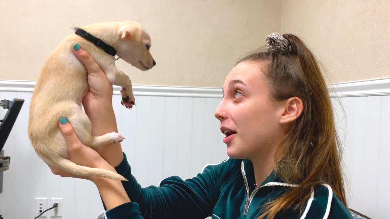 I GOT A PUPPY???